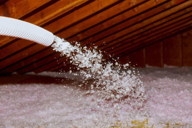 Best Spray Foam Insulation in Schofield Barracks, HI