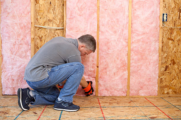 Types of Insulation We Offer in Schofield Barracks, HI
